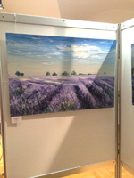 2014 Bezirksmuseum Hietzing